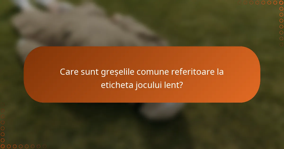 Care sunt greșelile comune referitoare la eticheta jocului lent?